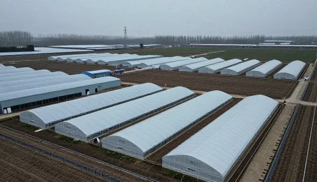 规格定制在销售场景中的实际应用与优化路径